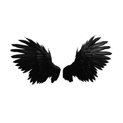 Black Raven Wings