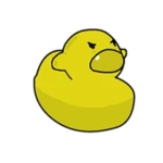 Lemon Duck
