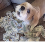 lizzyFAM