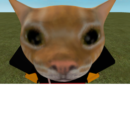 yes