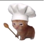 Les chat mimi