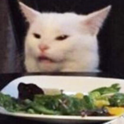 :cat: Roblox decal