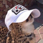 Test_111211