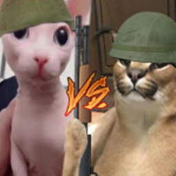 The Floppa War