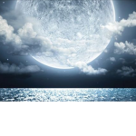 Moonlight_101