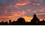 Spiderarmy