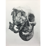 skullin nation