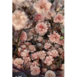 My pretty flowers