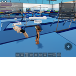 destroyers gymnast team!
