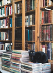 ARCTIC LIBRARY [WCUE]