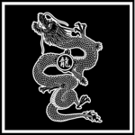 飛龍幫 Flying Dragons