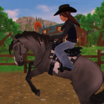 Digital Rodeo