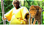 babatunde royalties