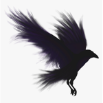 Crow Family.