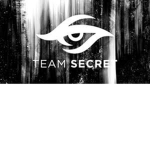 【𝖙𝖘】 Team Secret
