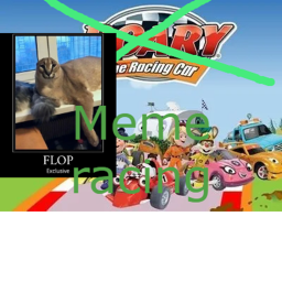 Goofy ahh meme racing