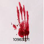 BloodAnarchist