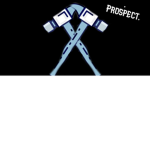 Pro's Basketball League