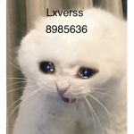 Lxverss