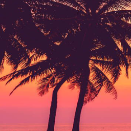 🌴