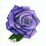 [I] Divine Roses [I] Beyblade: Rebirth [I]