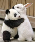 pandapandapanduh