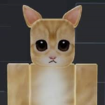 Adorable El Gato Group