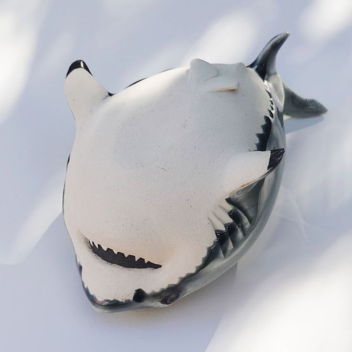 🦈˚˖