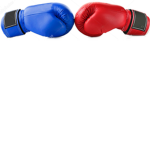 Bloxy fight