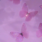 ~• angels •~