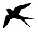 Osna Airlines