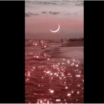 Aesthetic_cake