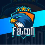 HYPER_FALCON'S FAN GROUP
