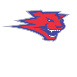 Florida Firecats field