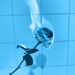 Bluez®