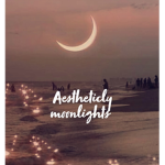 Aesthetically Moonlights