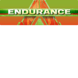 ◈Endurance◈
