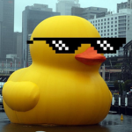 Epic Duck Clan For Ducks