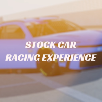 Motorsport Racing Experience [BETA]