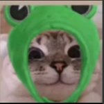 Cxi