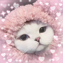,, . ; ☆