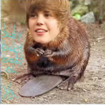 ITS YOUR BOY JUSTIN BEAVER