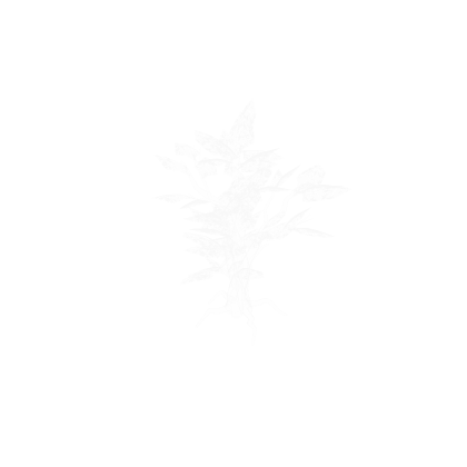 GhostTree