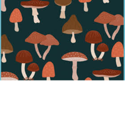 Group vibe place 🍄