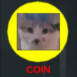 COIN icon