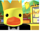 Ducky’s United Together