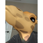 Brodyclutch14