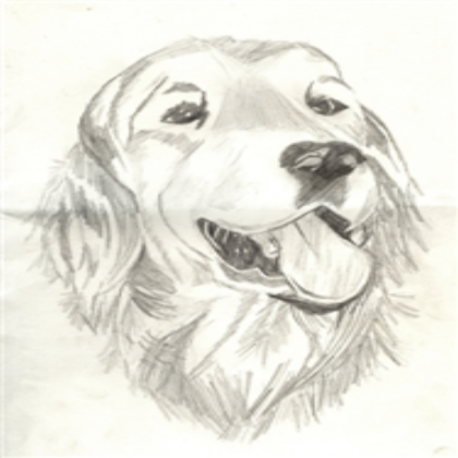 Drawing Of A Dog Roblox decal