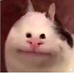 Pinky Chacadanbucu