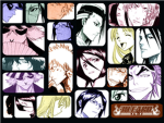 Bleach luverz